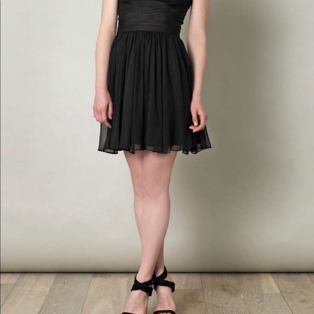 NWT Elizabeth and James Silk Skirt